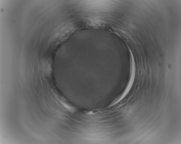 X0000088590566200705251152