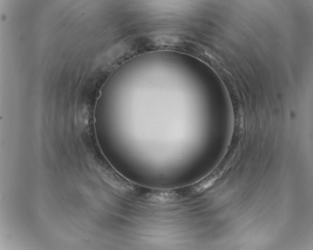 X0000088590567200705251152