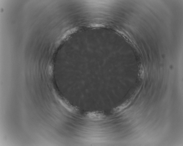 X0000088590568200705251152