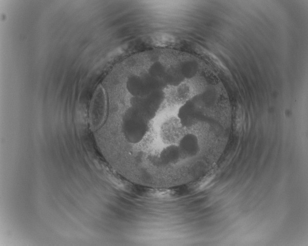 X0000088590569200705251152