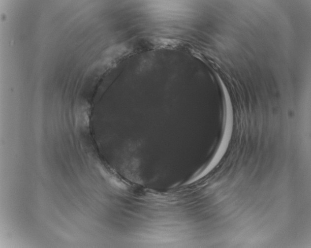 X0000088590570200705251152