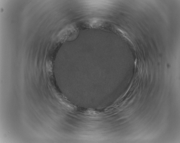 X0000088590571200705251152