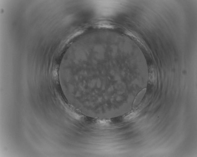 X0000088590573200705251152