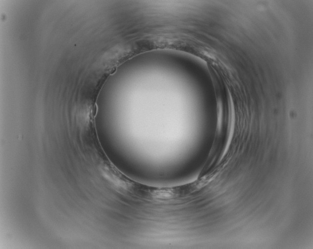 X0000088590574200705251152