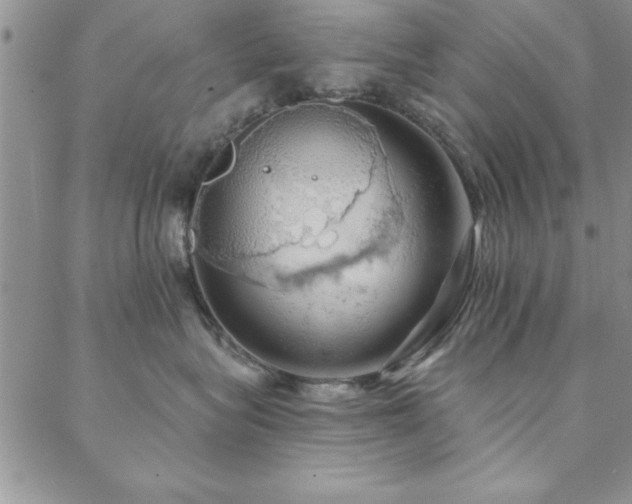 X0000088590575200705251152