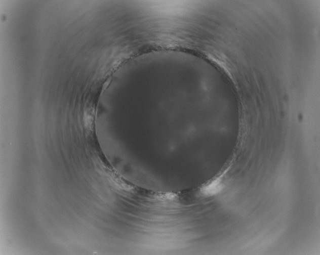 X0000088590576200705251152