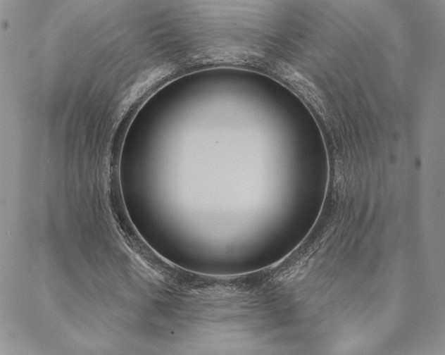 X0000088590578200705251151