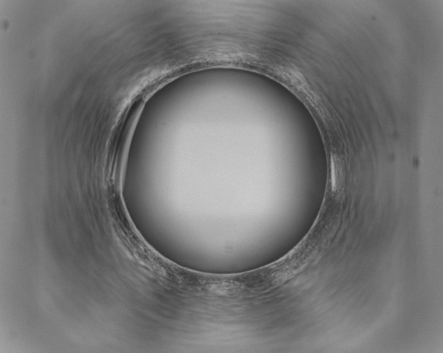 X0000088590579200705251151