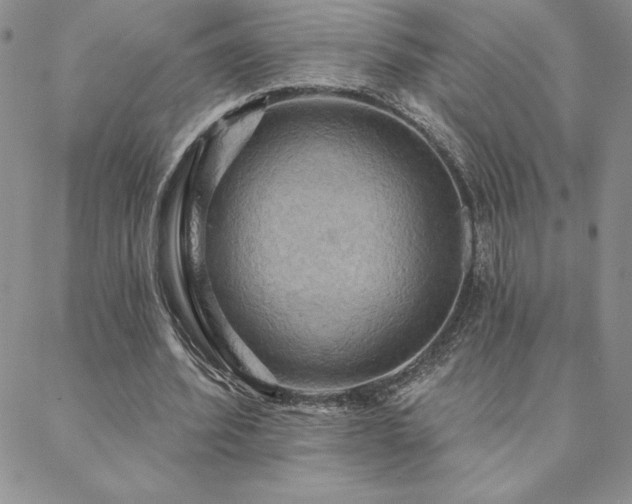 X0000088590580200705251151