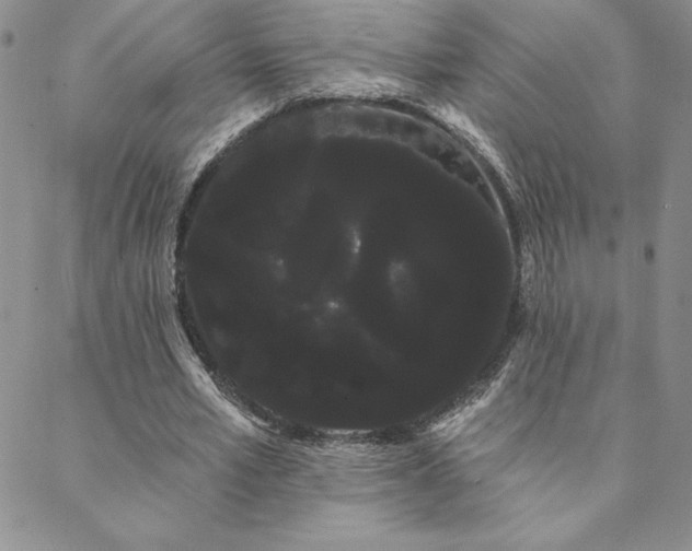 X0000088590581200705251151