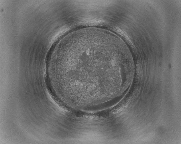 X0000088590582200705251151