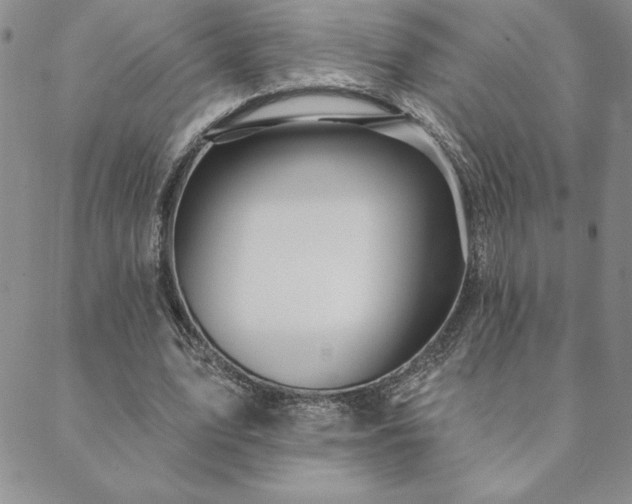 X0000088590583200705251151