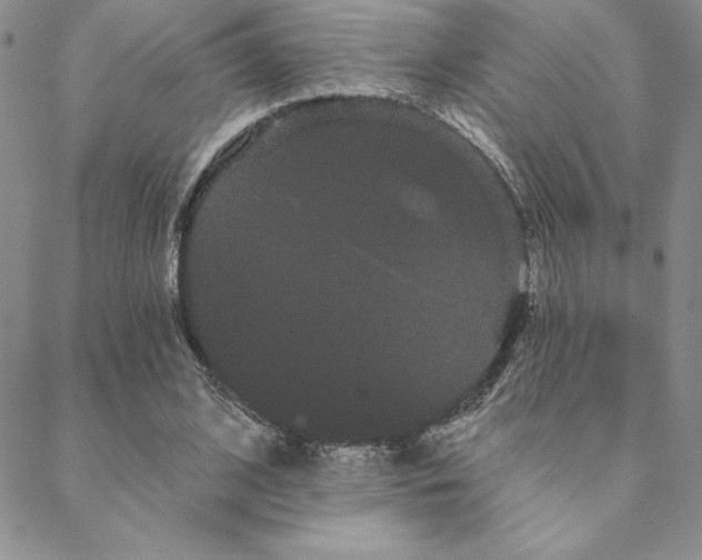 X0000088590584200705251151