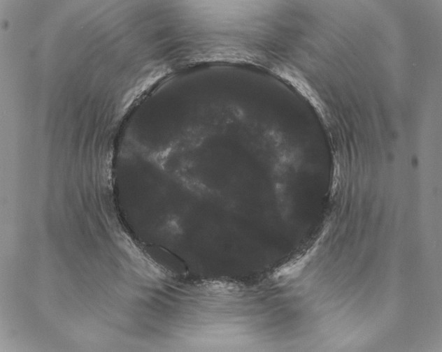 X0000088590585200705251151