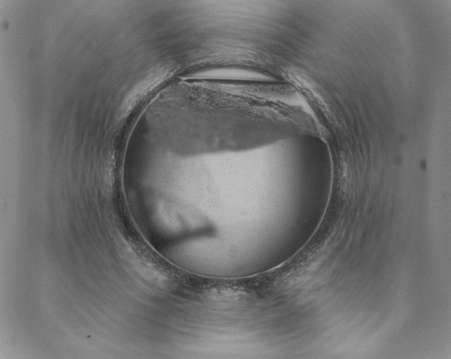 X0000088590586200705251151