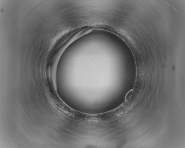 X0000088590587200705251151