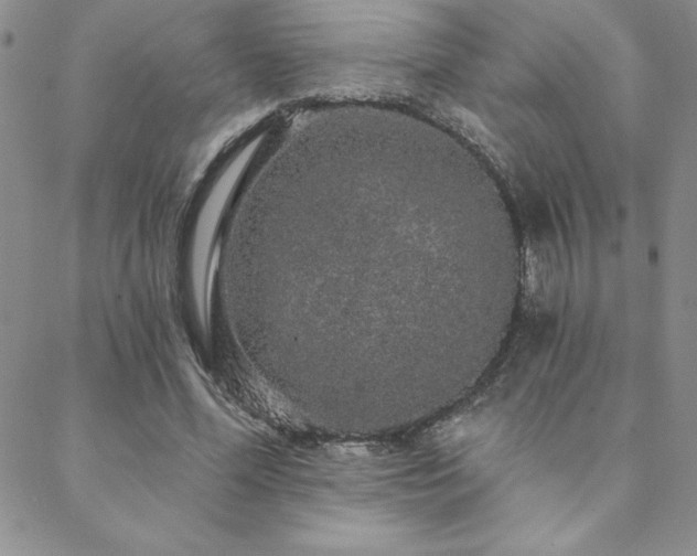 X0000088590588200705251151