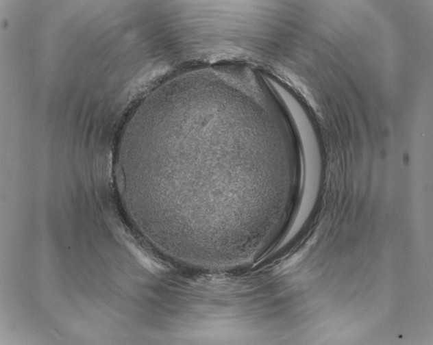 X0000088590589200705251151