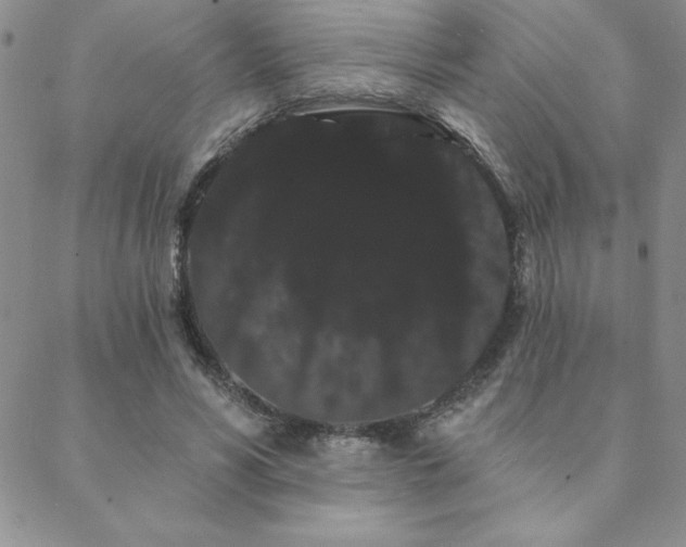 X0000088590590200705251151