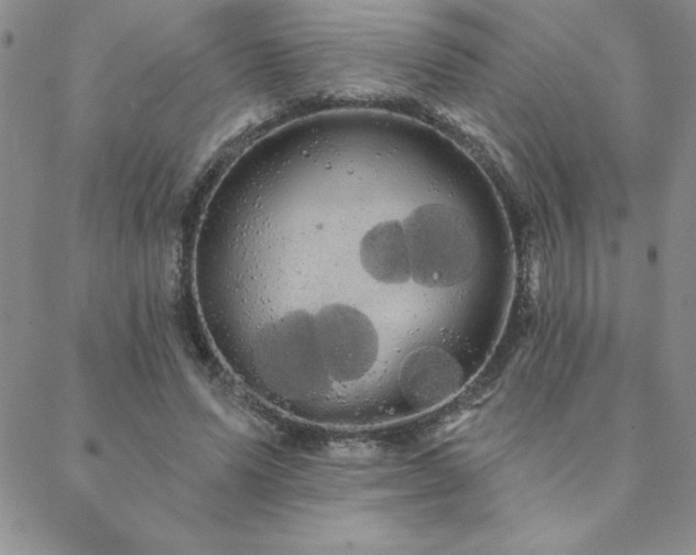 X0000088590591200705251151