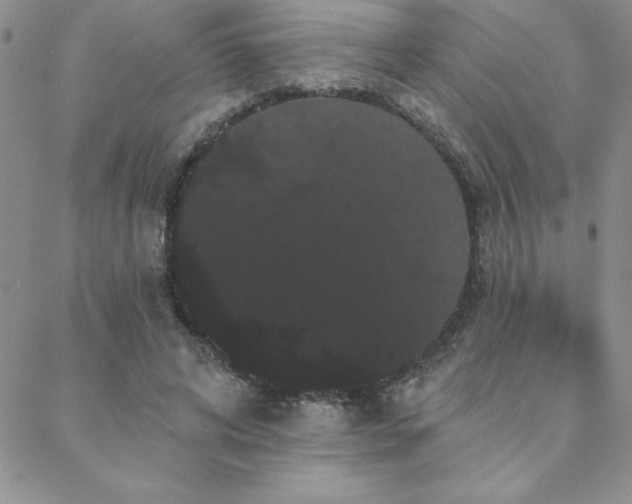 X0000088590592200705251151