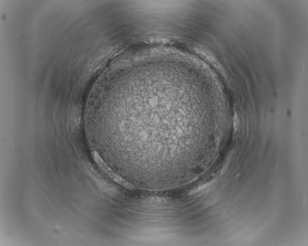 X0000088590593200705251151