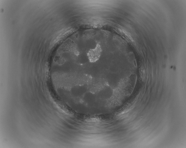 X0000088590594200705251151