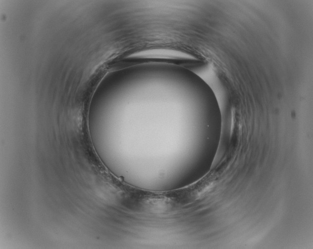 X0000088590595200705251151