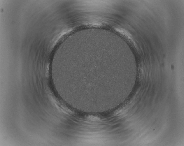 X0000088590596200705251151