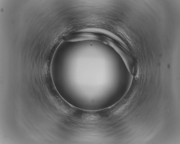 X0000088590597200705251151