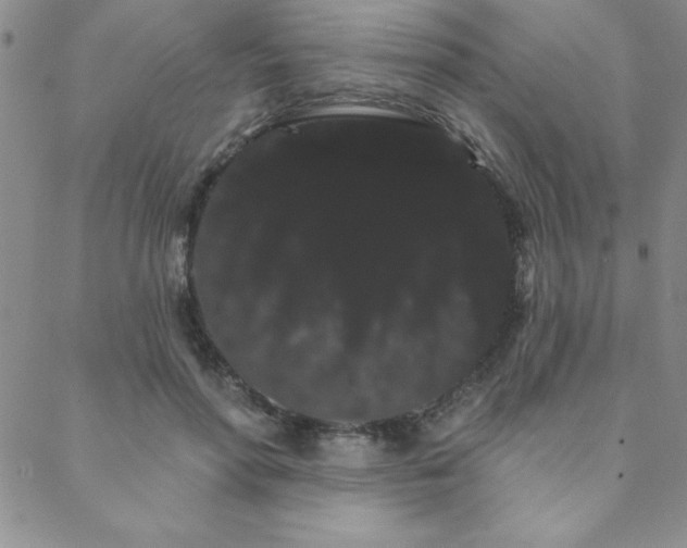 X0000088590598200705251151