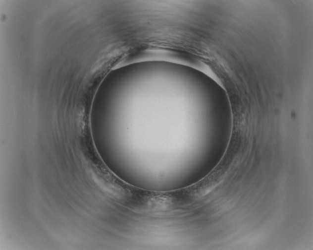 X0000088590599200705251151