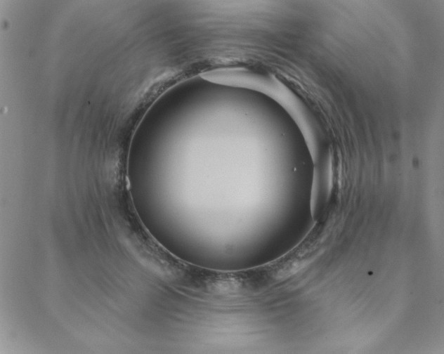 X0000088590600200705251151