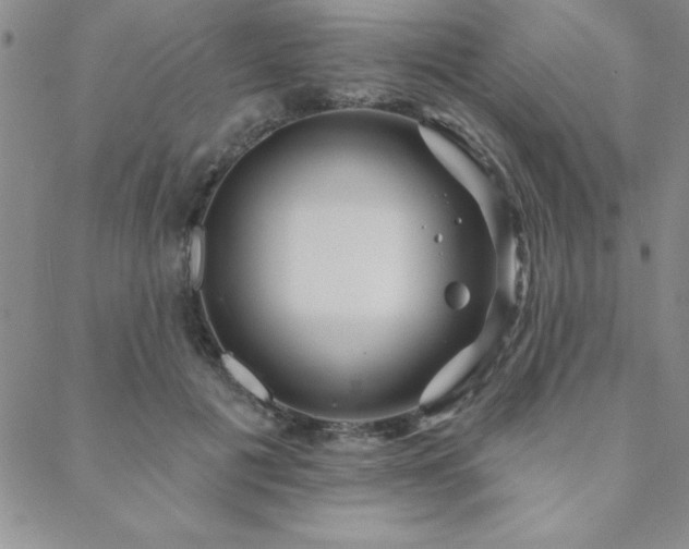 X0000088590601200705251151