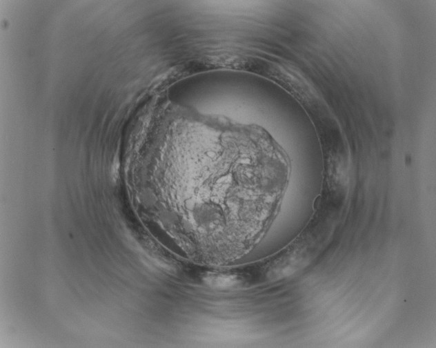 X0000088590602200705251151