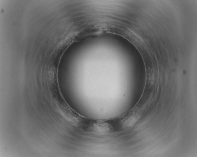 X0000088590603200705251151