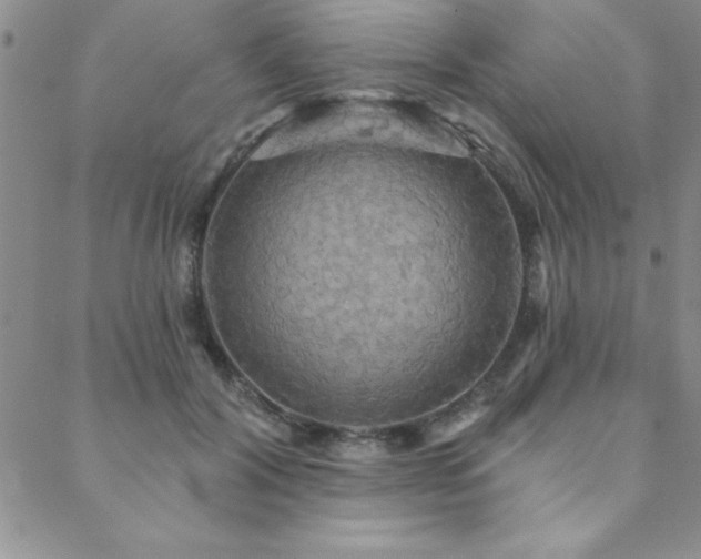 X0000088590604200705251151