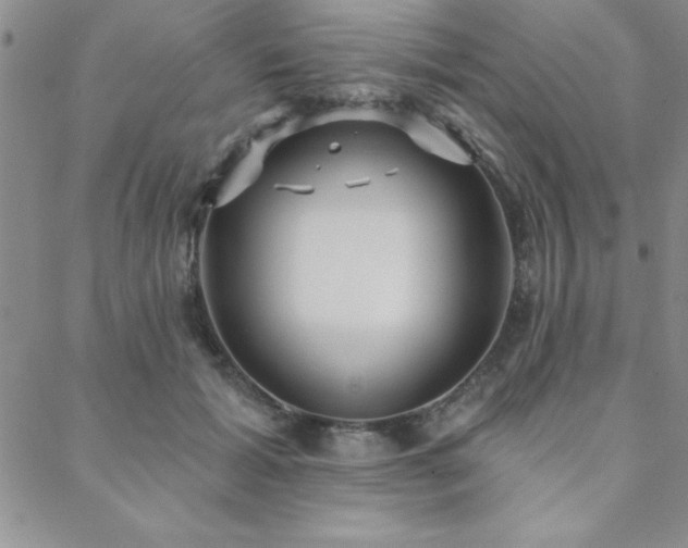 X0000088590605200705251151