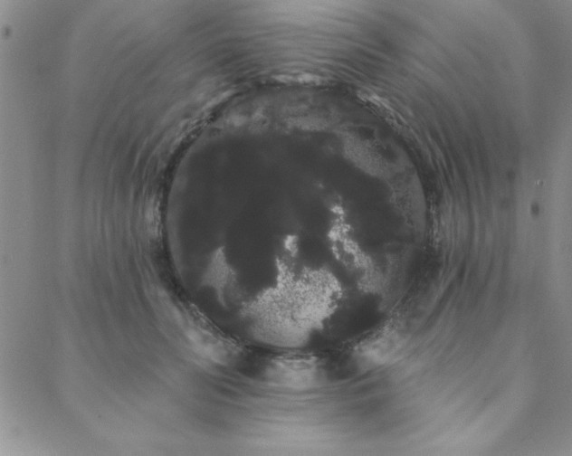 X0000088590606200705251151