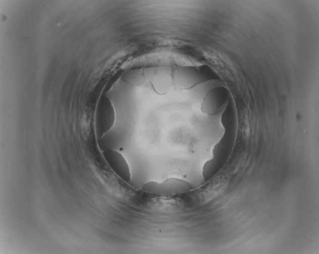 X0000088590607200705251151