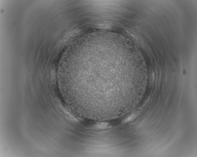 X0000088590609200705251151