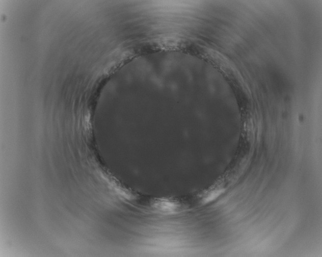 X0000088590610200705251151