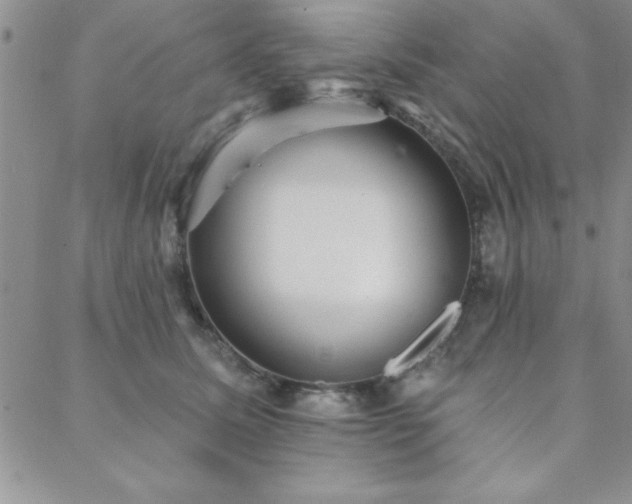 X0000088590611200705251151