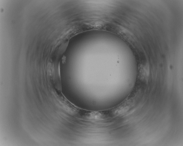 X0000088590612200705251151