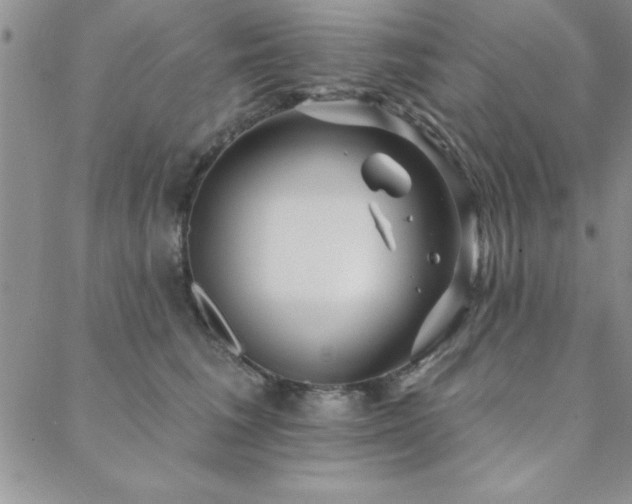 X0000088590613200705251151