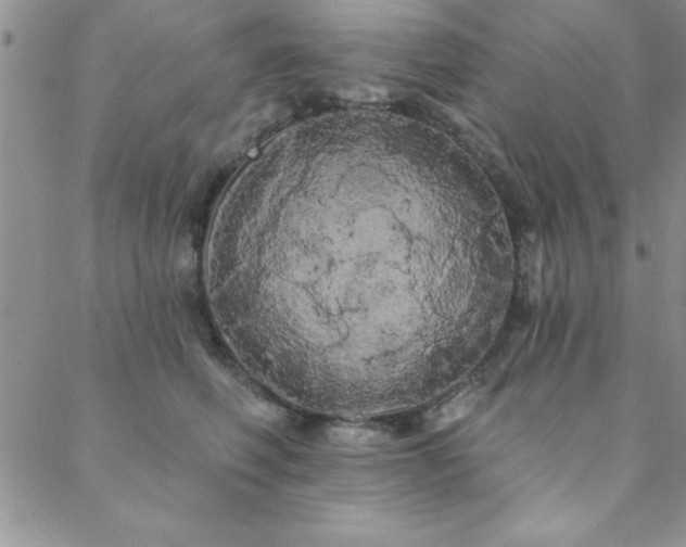 X0000088590614200705251151