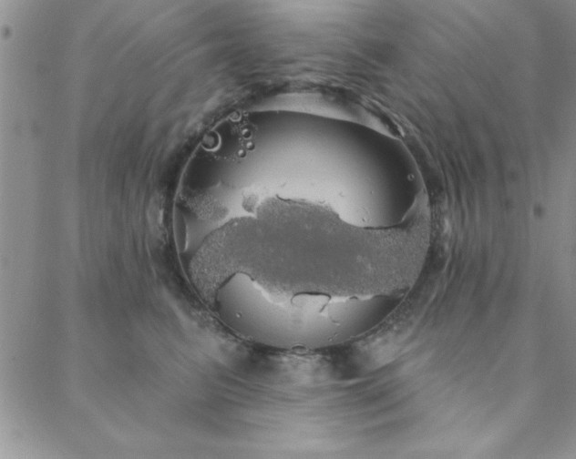 X0000088590615200705251151