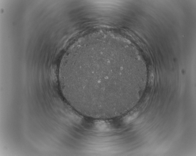 X0000088590616200705251151