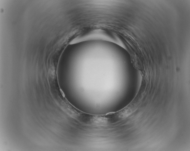 X0000088590617200705251151