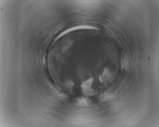 X0000088590618200705251151